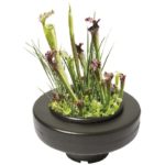 Drijvende Planteneiland Rond 22 cm doorsnee